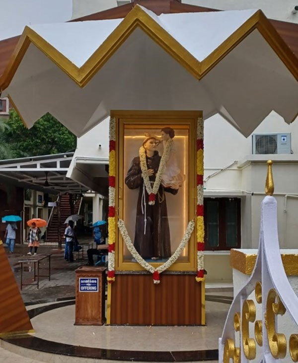 rajibraj